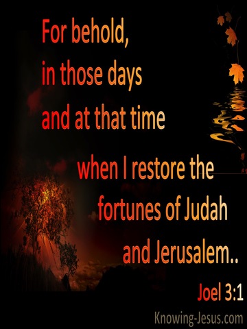 Joel 3:1 In The Day Of The Lord I Will Restore The Fortune Of Judah (black)